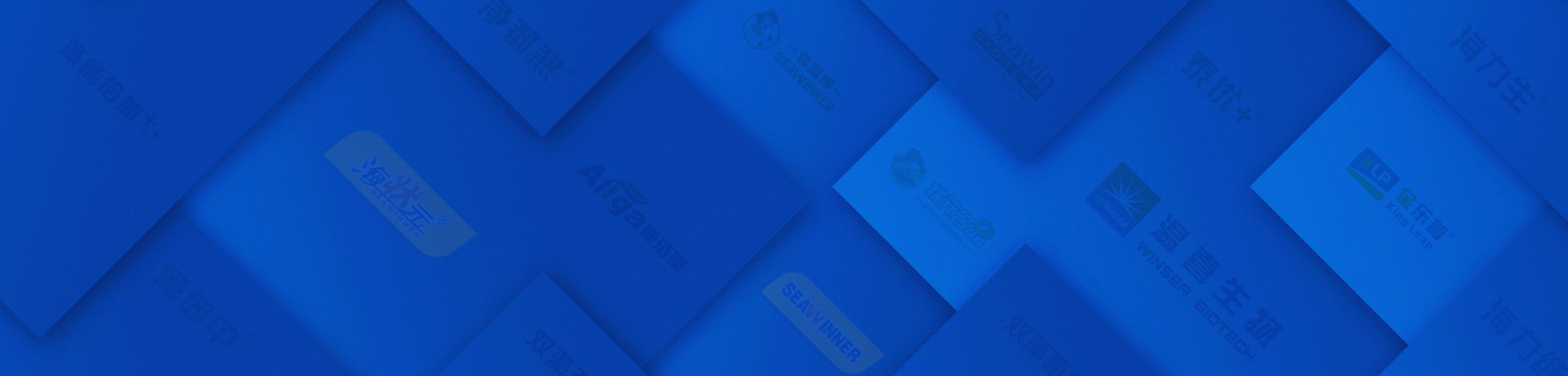 fun88乐天使品牌战略