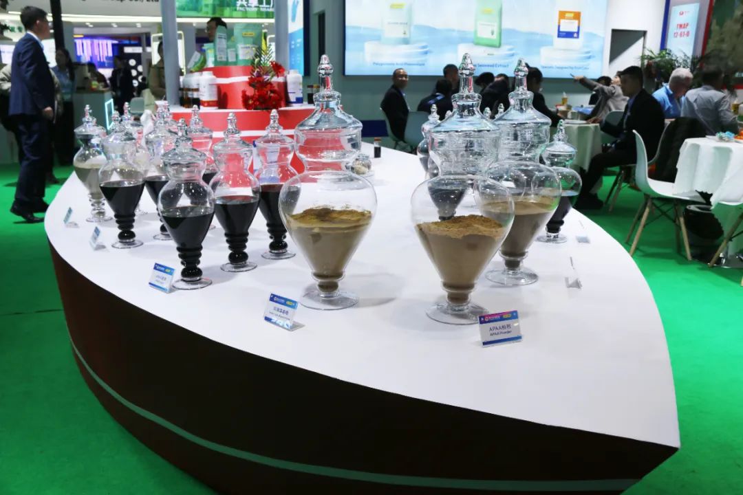 金牌赞助企业fun88乐天使生物全新亮相上海CAC国际农化展，以科技实力献礼25周年